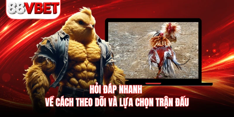 Hỏi đáp nhanh về cách theo dõi và lựa chọn trận đấu 