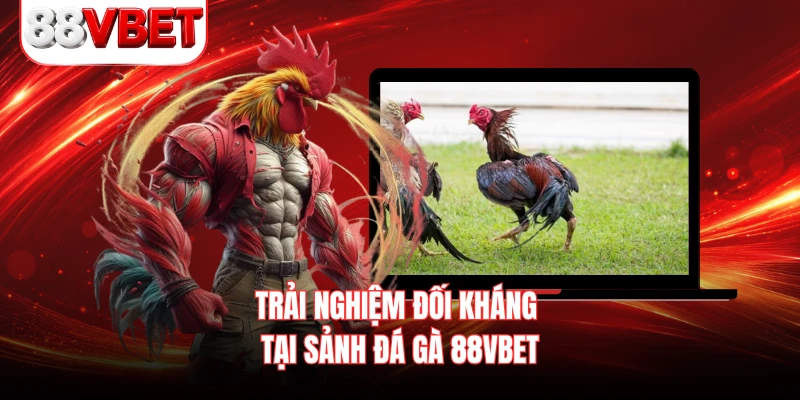Trải nghiệm đối kháng tại sảnh đá gà 88VBET 